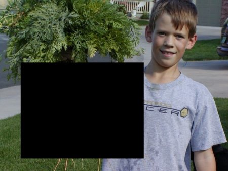 Морковка удалась (6 фото)