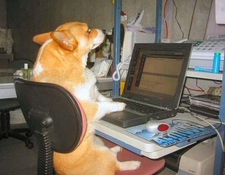 Ни дня без интернета (29 фото)