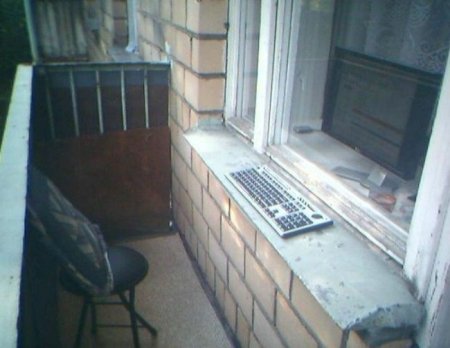 Ни дня без интернета (29 фото)