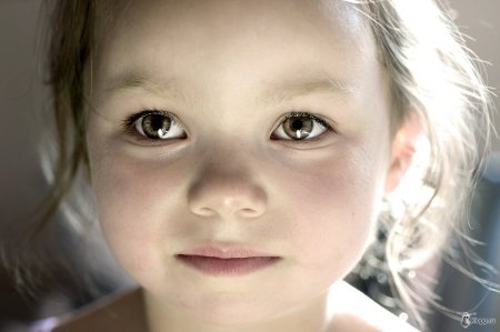 Фотограф Viktoria Haack