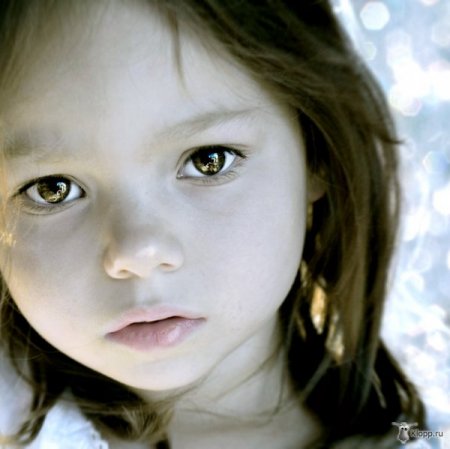 Фотограф Viktoria Haack