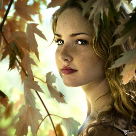 Фотограф Viktoria Haack