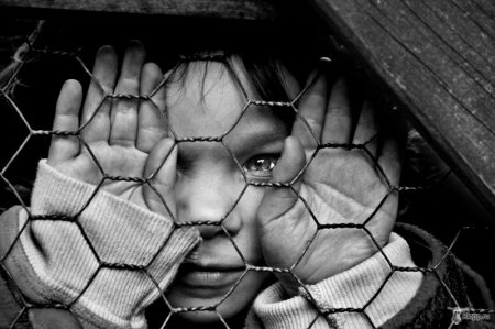 Фотограф Viktoria Haack