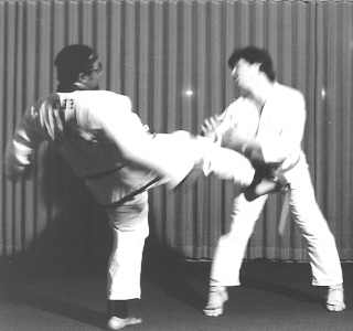 По шарам (15 фото)