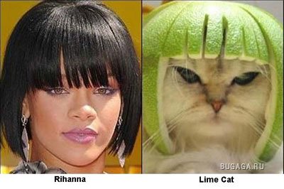 Забавное сходство