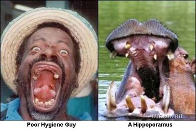 Забавное сходство