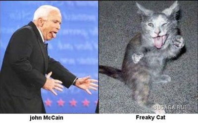 Забавное сходство