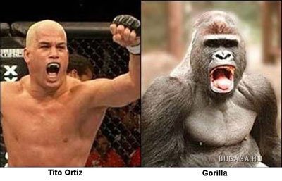 Забавное сходство