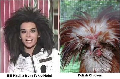 Забавное сходство