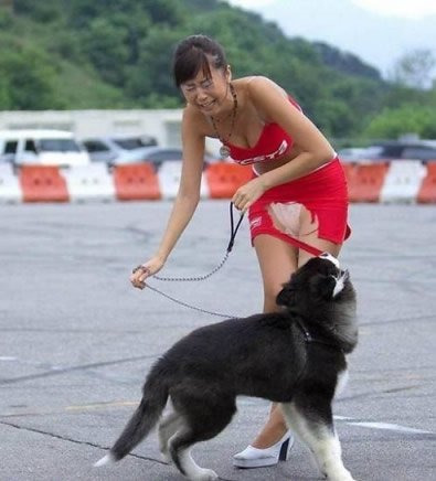 Смешные животные (21 фото)