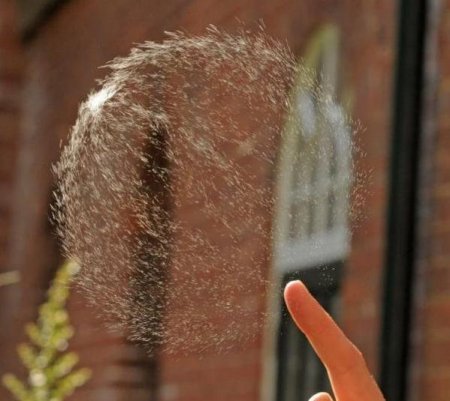 Как лопается мыльный пузырь