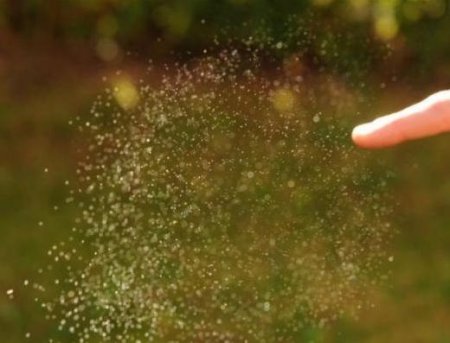 Как лопается мыльный пузырь