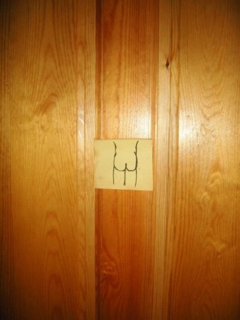 Двери туалета (2 фото)