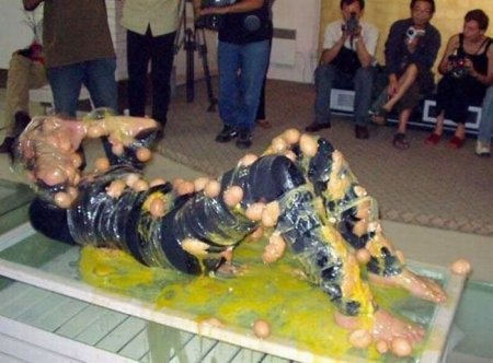 Япония. Узнаем поближе (50 фото)