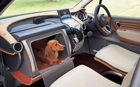 Япония. Узнаем поближе (50 фото)