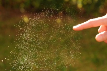 Как лопается мыльный пузырь (9 фото)