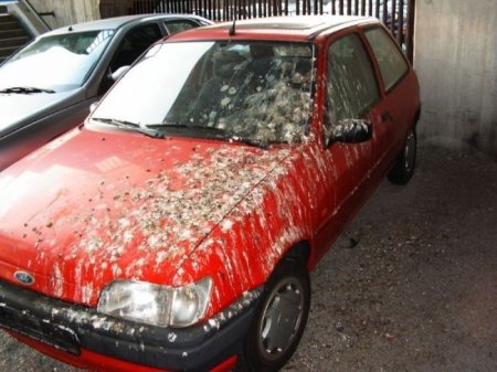 Плохой день (34 фото)