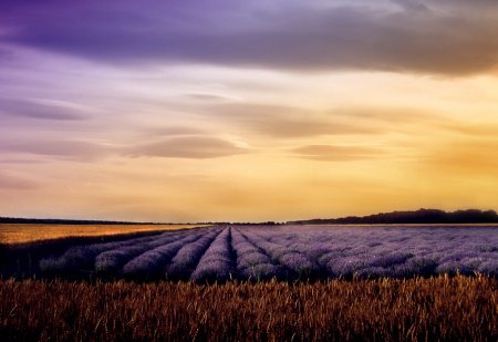 Работы фотографа Albena Markova