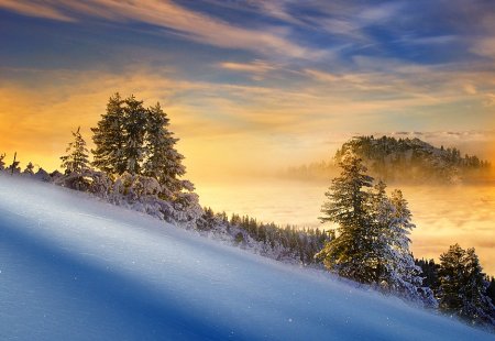 Работы фотографа Albena Markova