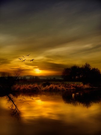 Работы фотографа Albena Markova