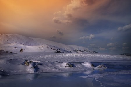 Работы фотографа Albena Markova