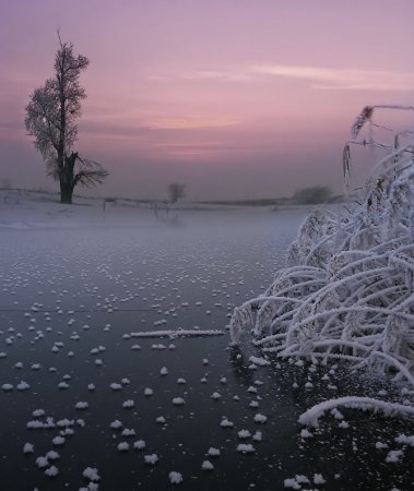 Работы фотографа Albena Markova