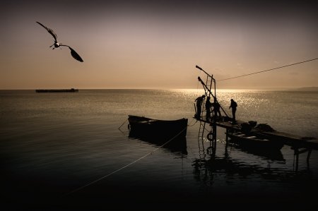 Работы фотографа Albena Markova