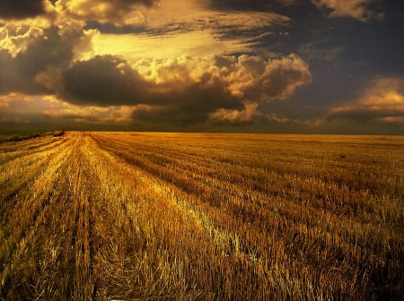 Работы фотографа Albena Markova