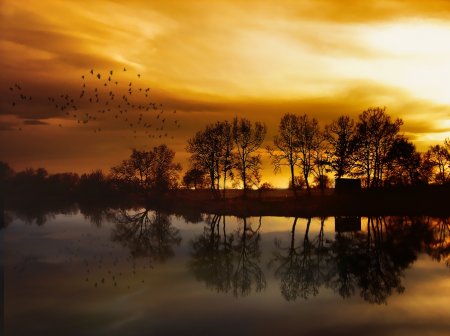 Работы фотографа Albena Markova