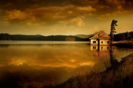 Работы фотографа Albena Markova