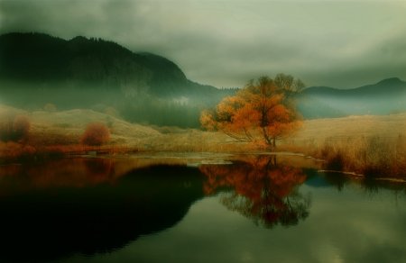 Работы фотографа Albena Markova