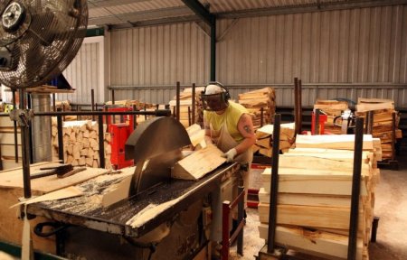 Изготовление крикетных бит (9 фото)