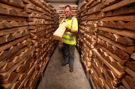 Изготовление крикетных бит (9 фото)