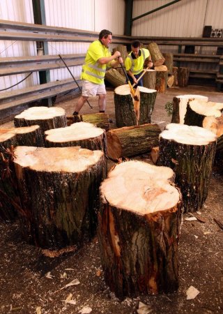 Изготовление крикетных бит (9 фото)