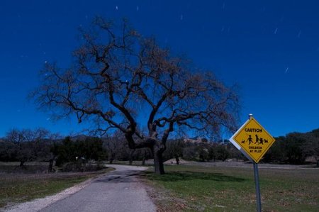 Neverland - обитель Майкла Джексона (23 фото)