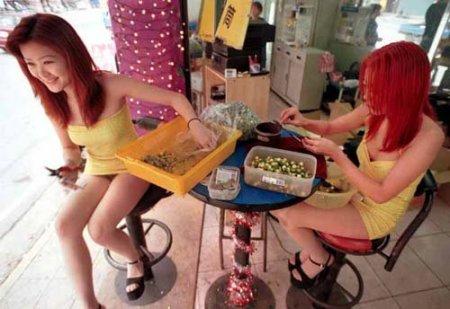 Чем занимается эти девушки (19 фото)