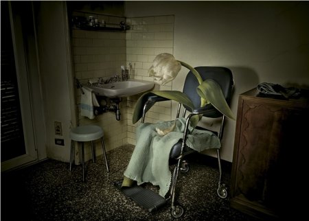 Фоторетушер Thomas Lavezzari