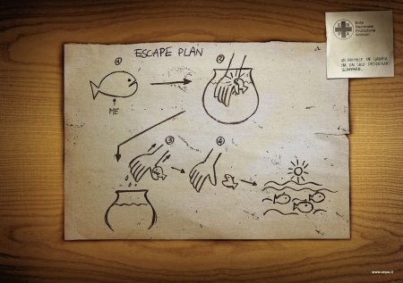 Фоторетушер Thomas Lavezzari