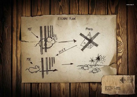 Фоторетушер Thomas Lavezzari