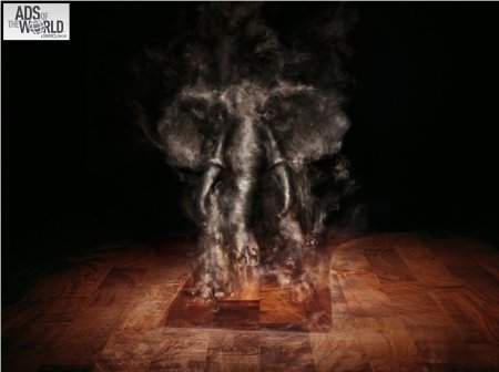 Фоторетушер Thomas Lavezzari