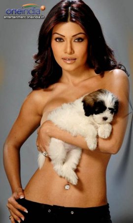 Актрисы Болливуда (15 фото)