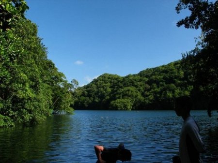 Царство медуз (19 фото)