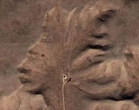 Необычные съемки ГуглМапс (50 фото)