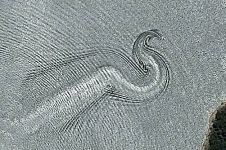 Необычные съемки ГуглМапс (50 фото)