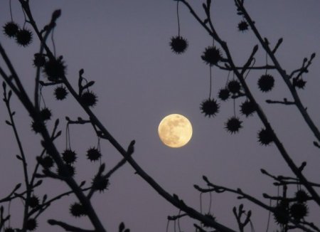 Энергия луны (20 фото)