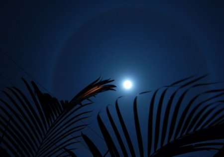 Энергия луны (20 фото)