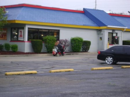 Все равно съем свой гамбургер (6 фото)