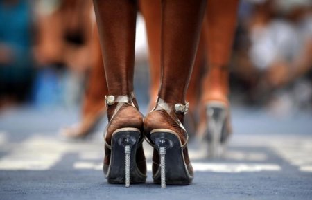 Качки на пляже (14 фото)