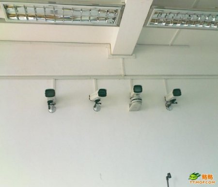 Удивительная школа (5 фото)