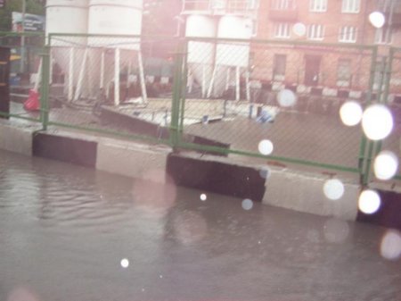 Сокол утонул (5 фото)